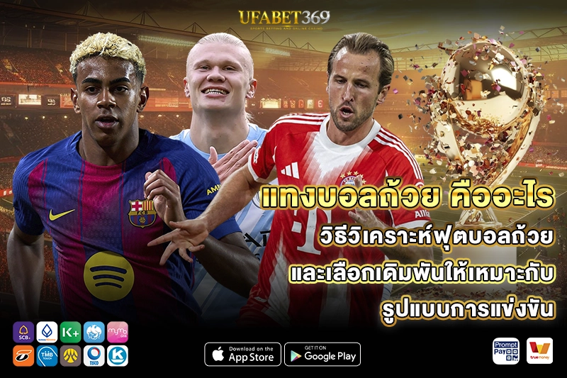แทงบอลถ้วย คืออะไร